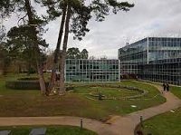 INSEAD