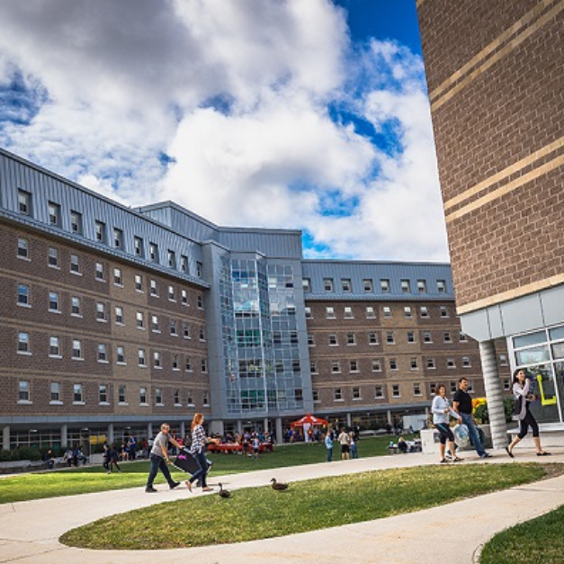  Memorial University 