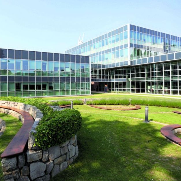 INSEAD